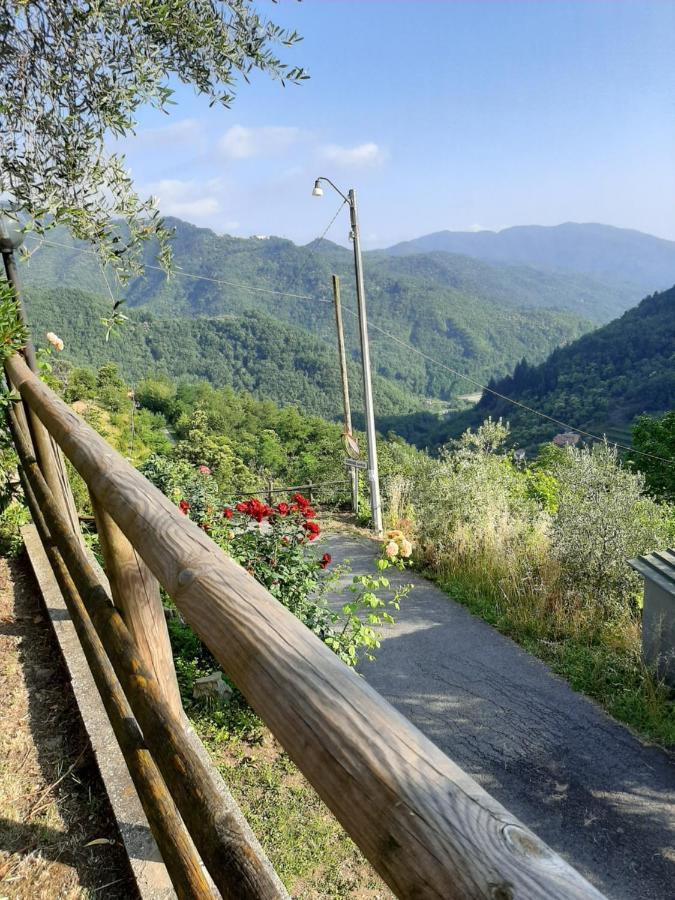 La Casa Di Amelia Villa Borzonasca Eksteriør bilde